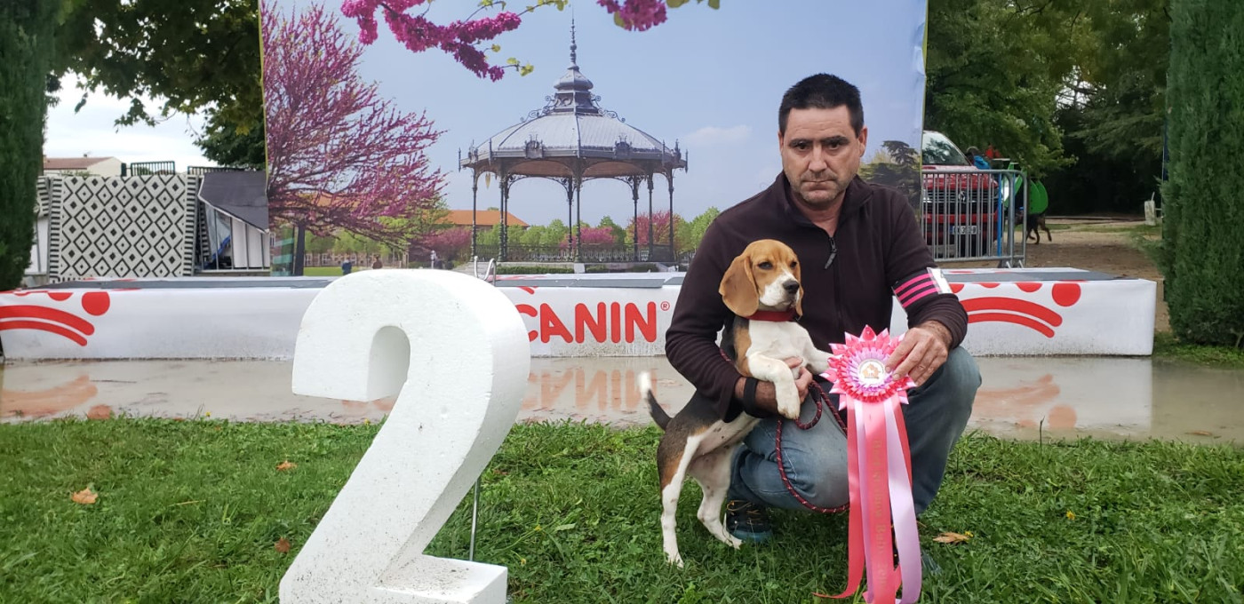 Anémone Du Mas Saint Clair - Baby très pronéteur - Best in show Baby 2iéme