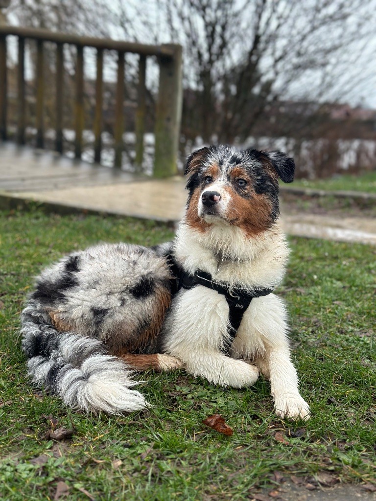 Publication : Sandra De Carvalho