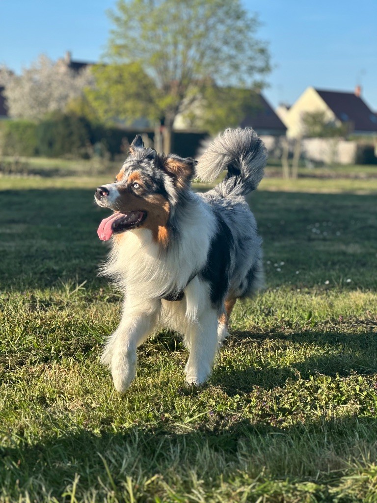 Publication : Sandra De Carvalho