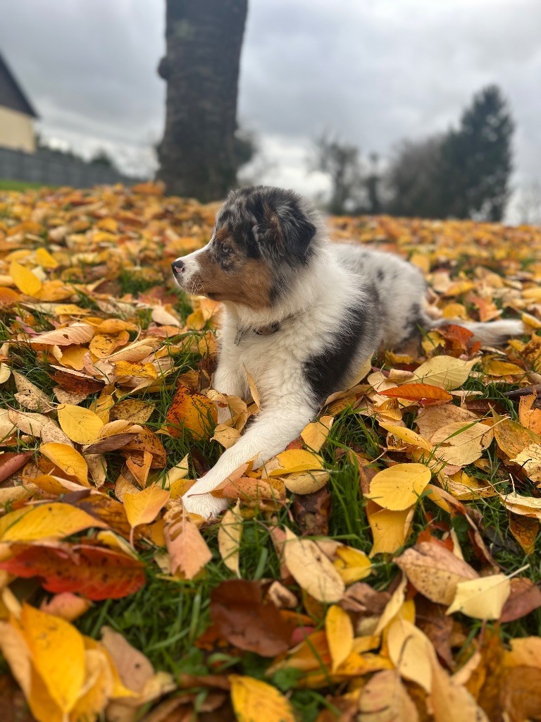 Publication : Sandra De Carvalho