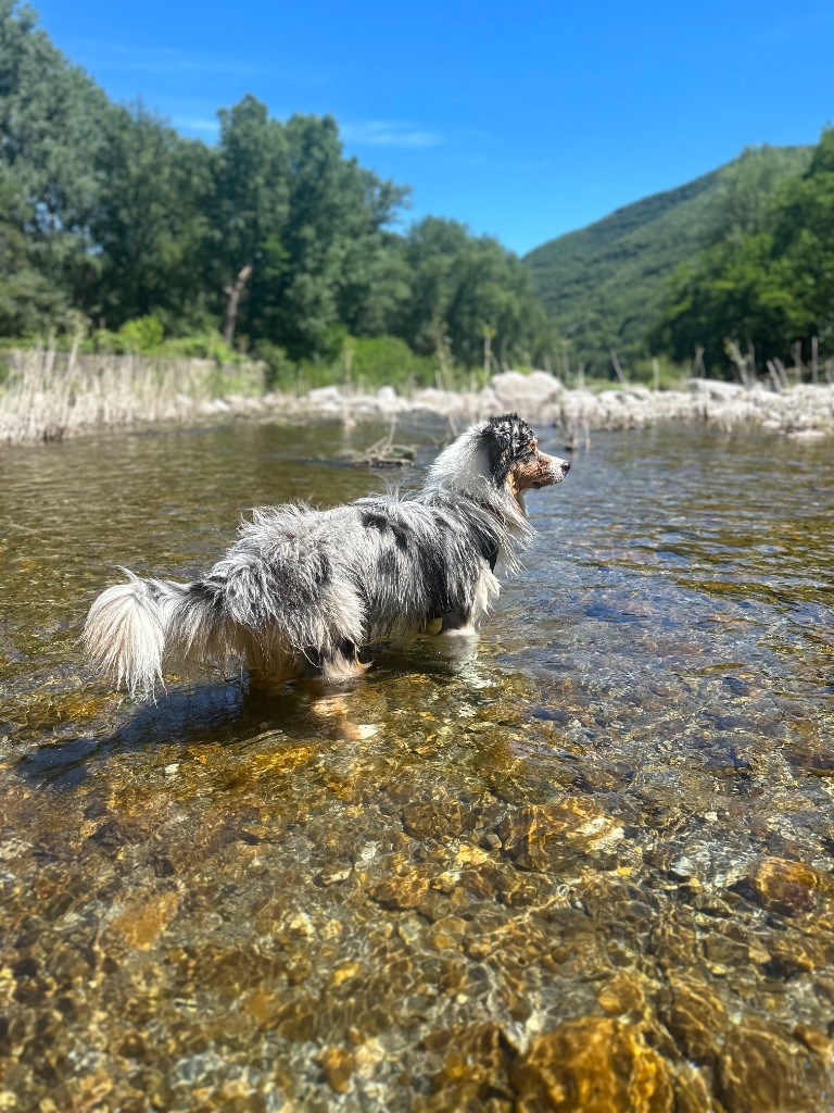 Publication : Sandra De Carvalho