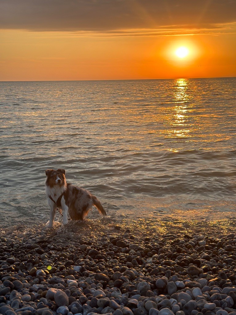 Publication : Sandra De Carvalho