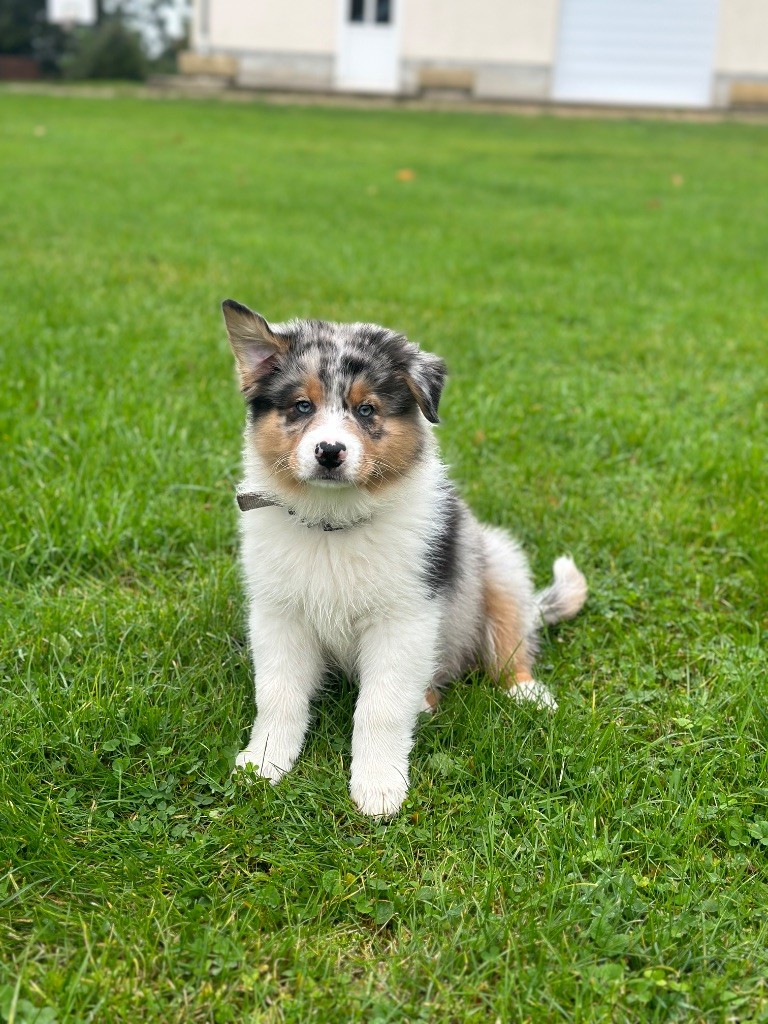 Publication : Sandra De Carvalho