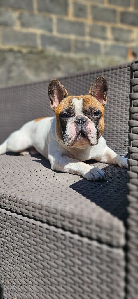 Publication : LAURIE BOUVET