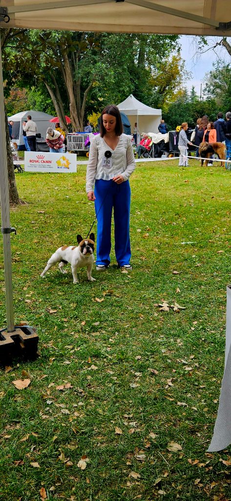 Publication : LAURIE BOUVET