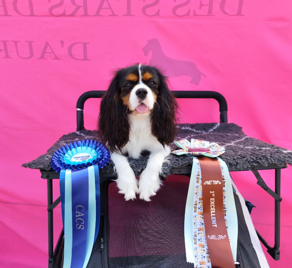 Vikky-queen Des Terres De L'infini