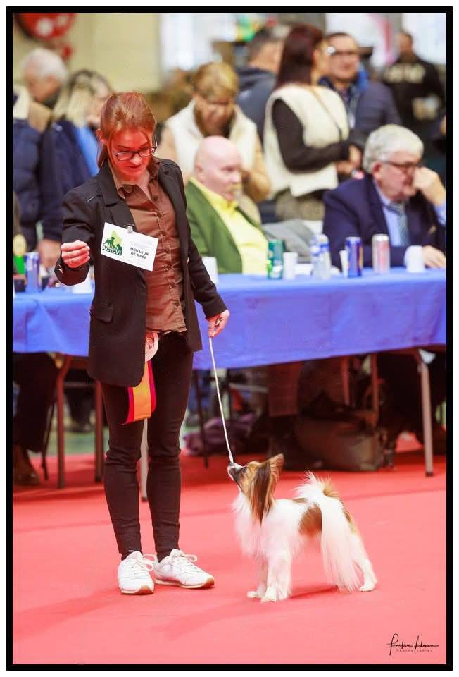 U'rock Des Trois Lieux - 1° EXCELLENT CACIB CACS MEILLEUR DE RACE