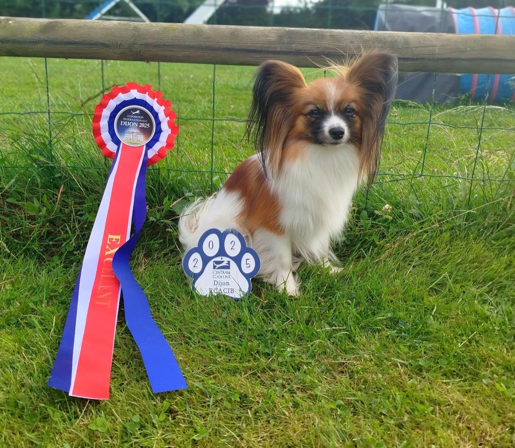 U'rock Des Trois Lieux - 3° EXCELLENT