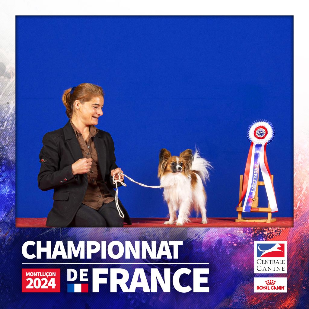 U'rock Des Trois Lieux - 4° EXCELLENT