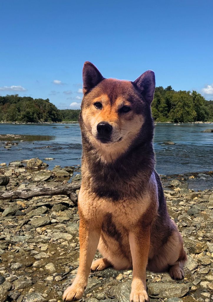 SeÏka Born in Aulero