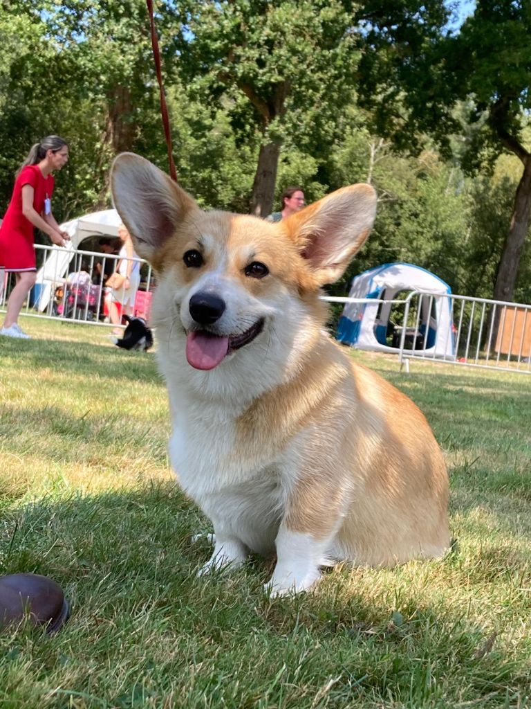 Ullie Des Joyaux Des Rouges Terres