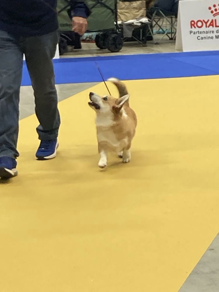 Ullie Des Joyaux Des Rouges Terres