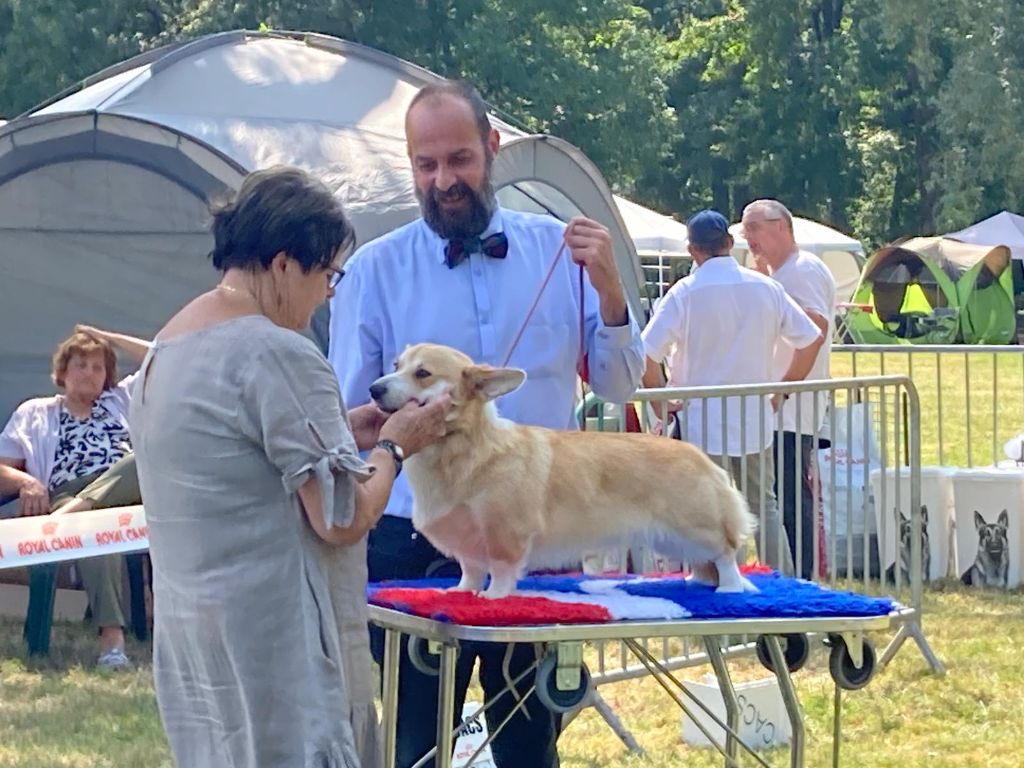 Ullie Des Joyaux Des Rouges Terres