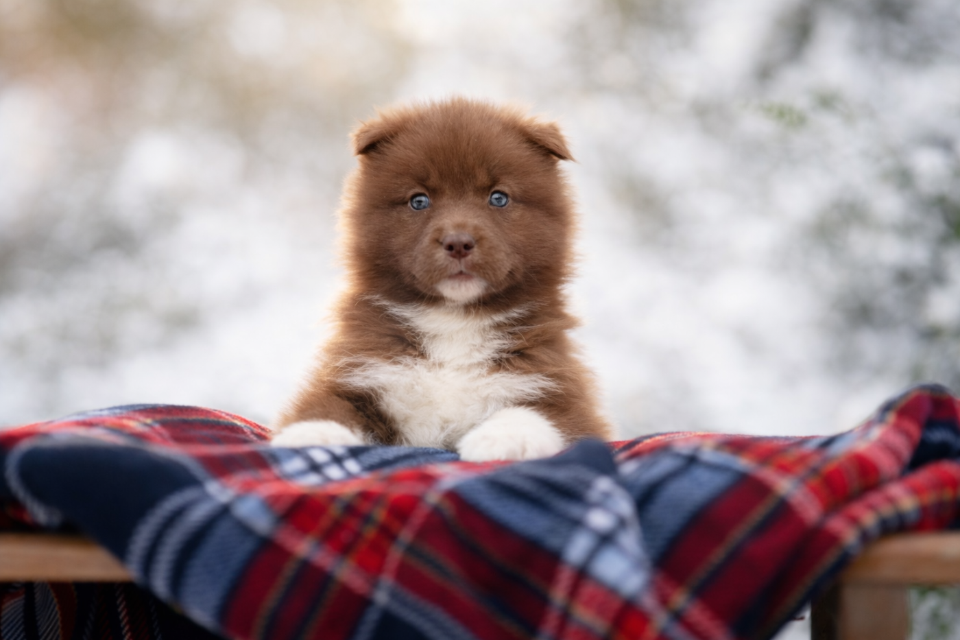 Your are the whisper of love Of The Nordic Empire