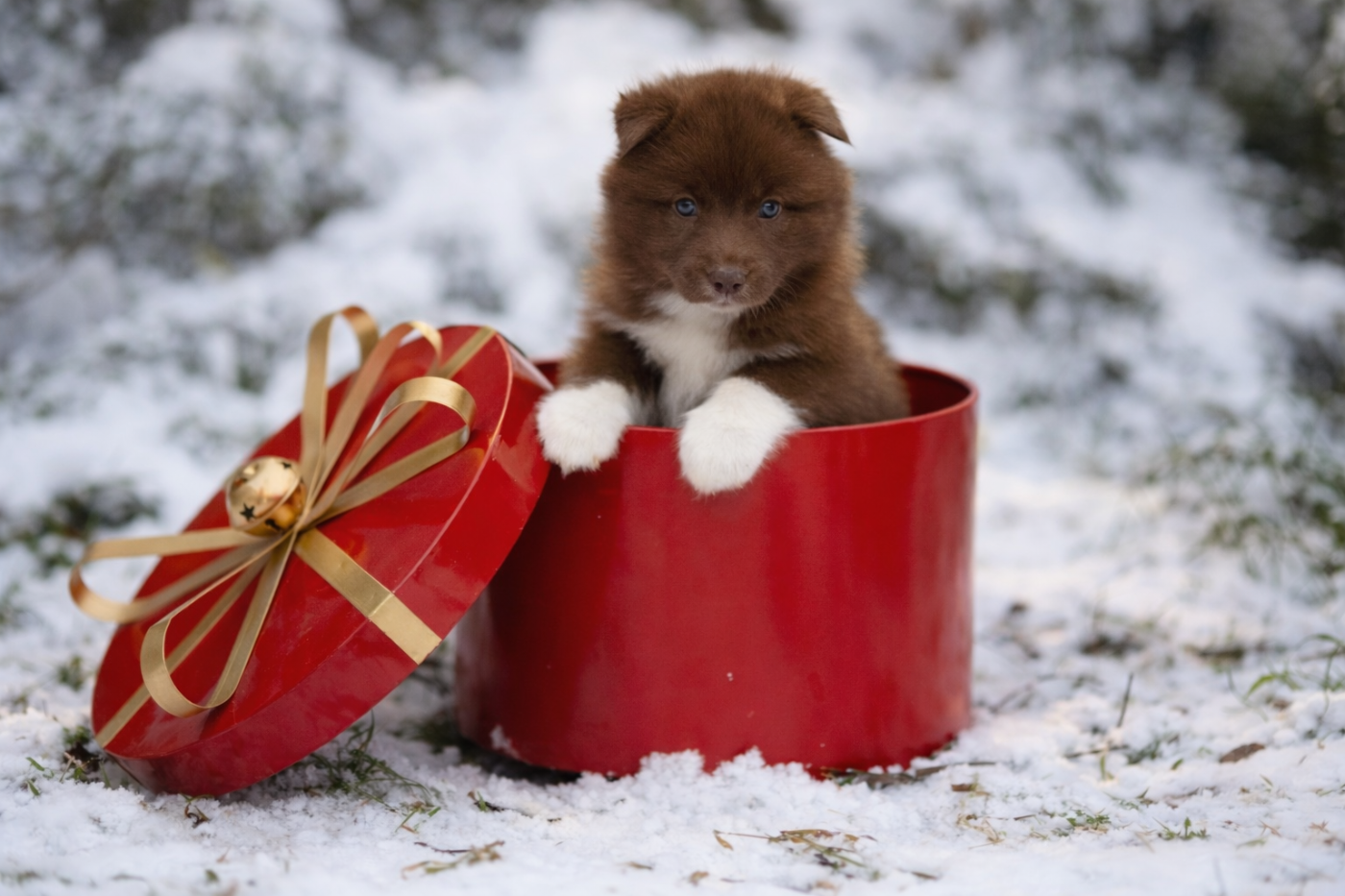 Your are the whisper of love Of The Nordic Empire