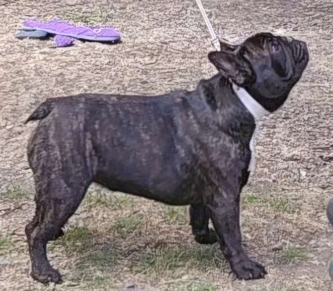 Aïka