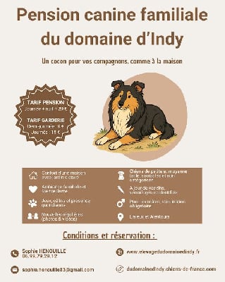 PENSION CANINE FAMILIALE DU DOMAINE D'INDY