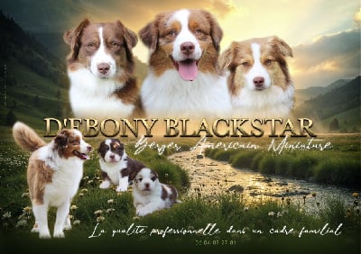 D'Ebony Blackstar