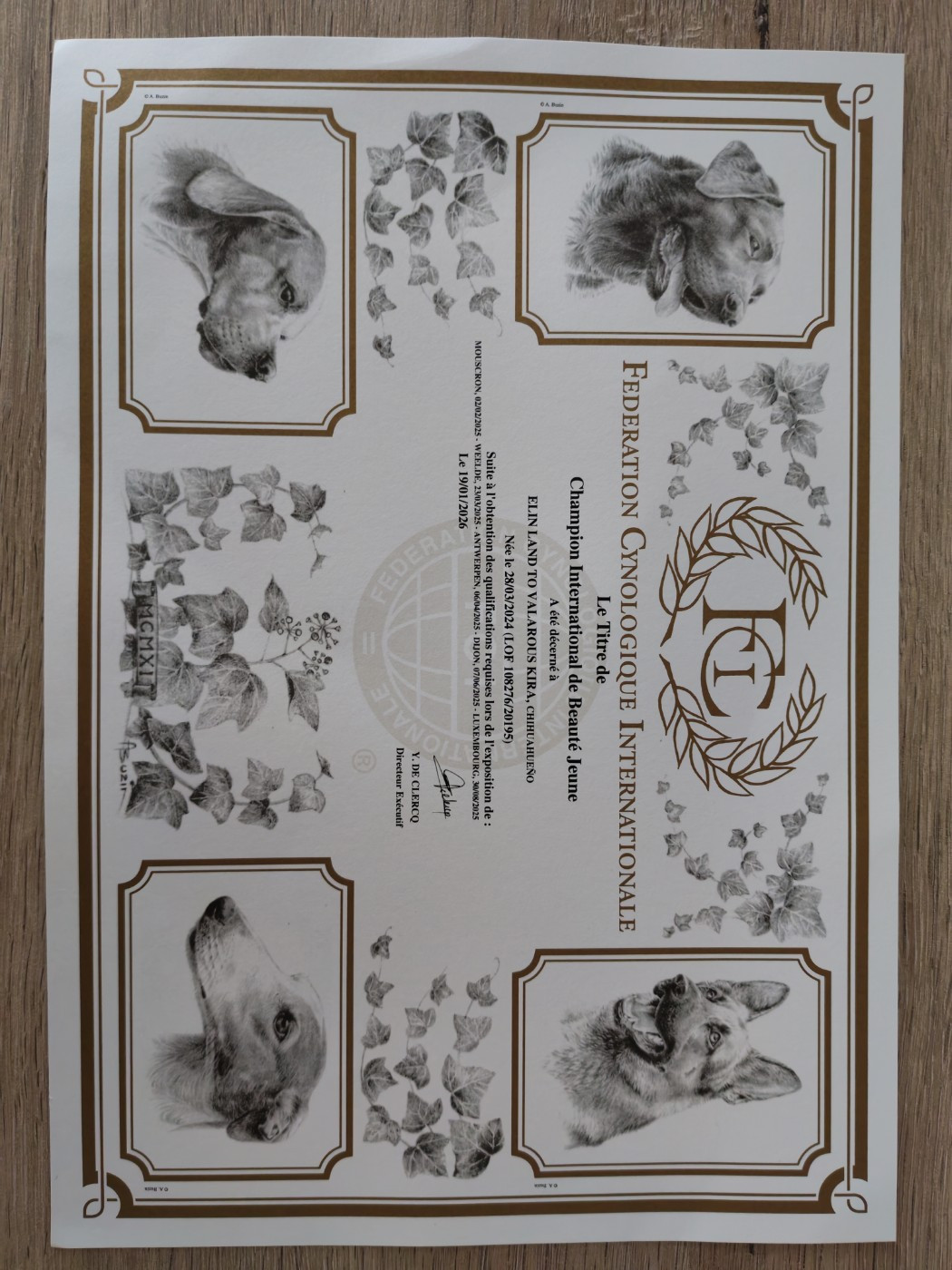 CH. elin land To valarous kira