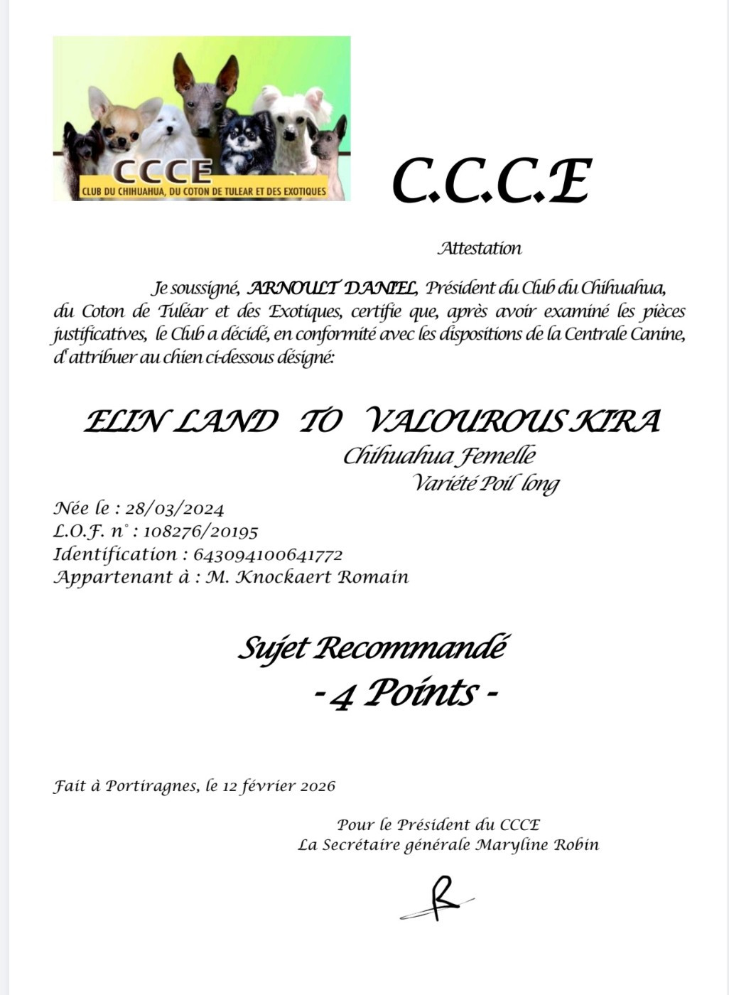 CH. elin land To valarous kira