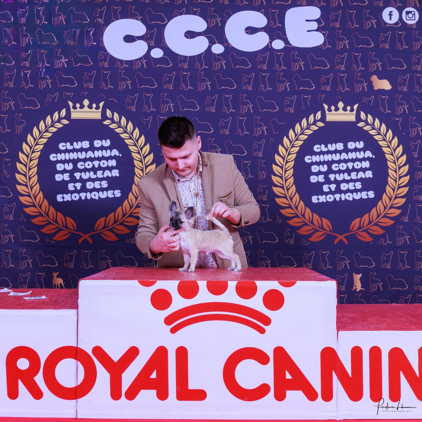 A Flower Bomb Des Petits Saints Du Noble Lewis