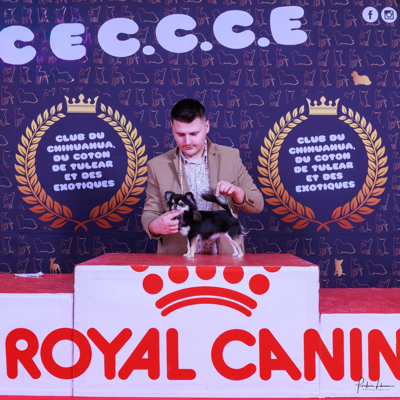 CH. elin land To valarous kira