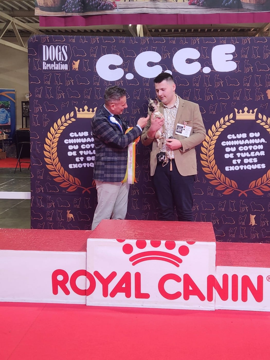 A Flower Bomb Des Petits Saints Du Noble Lewis - 1er TRES PROMETTEUR, MEILLEUR BABY, BEST IN SHOW BABY