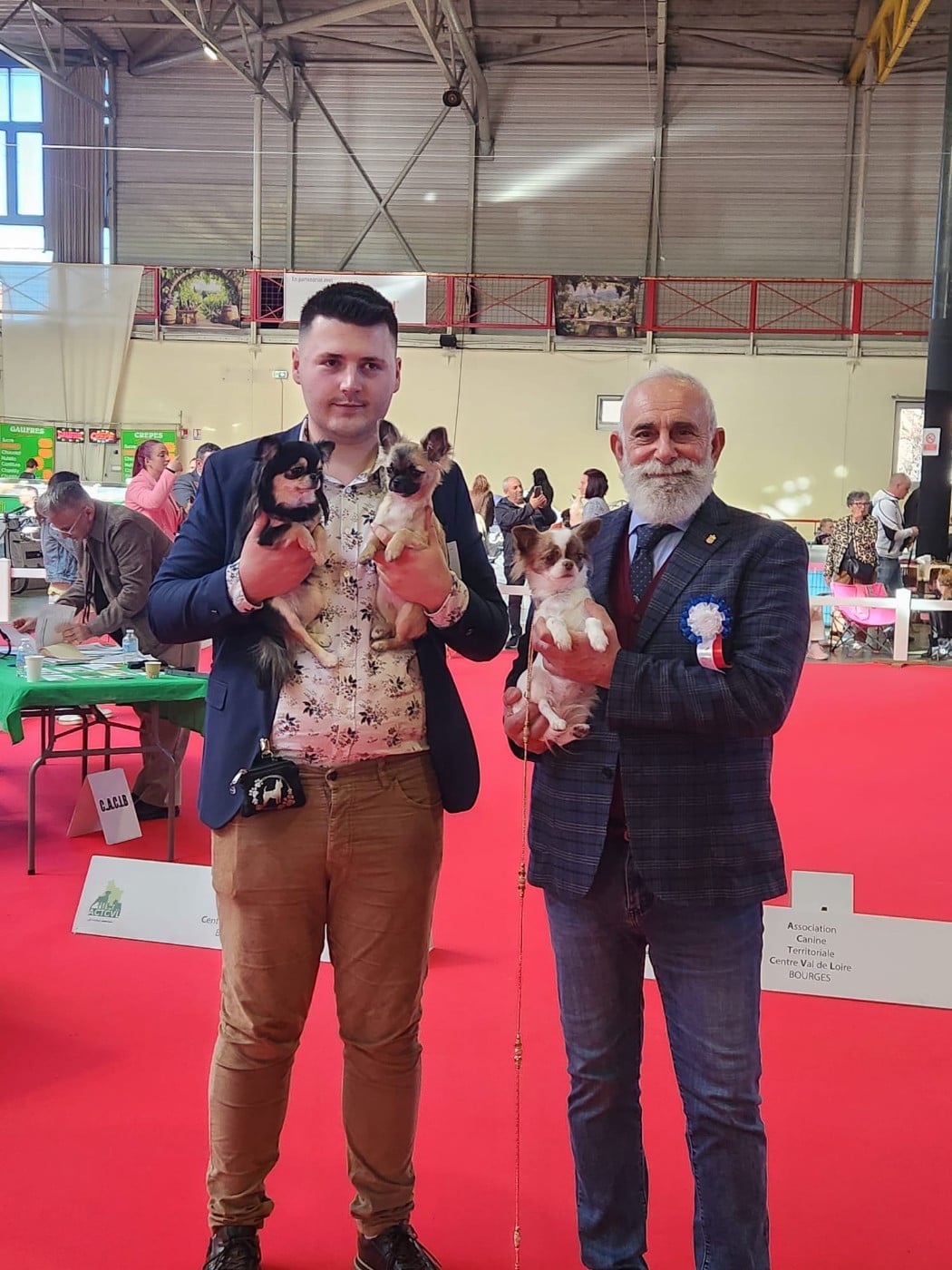 A Flower Bomb Des Petits Saints Du Noble Lewis - 1 ère TRES PROMETTEUR, MEILLEUR BABY