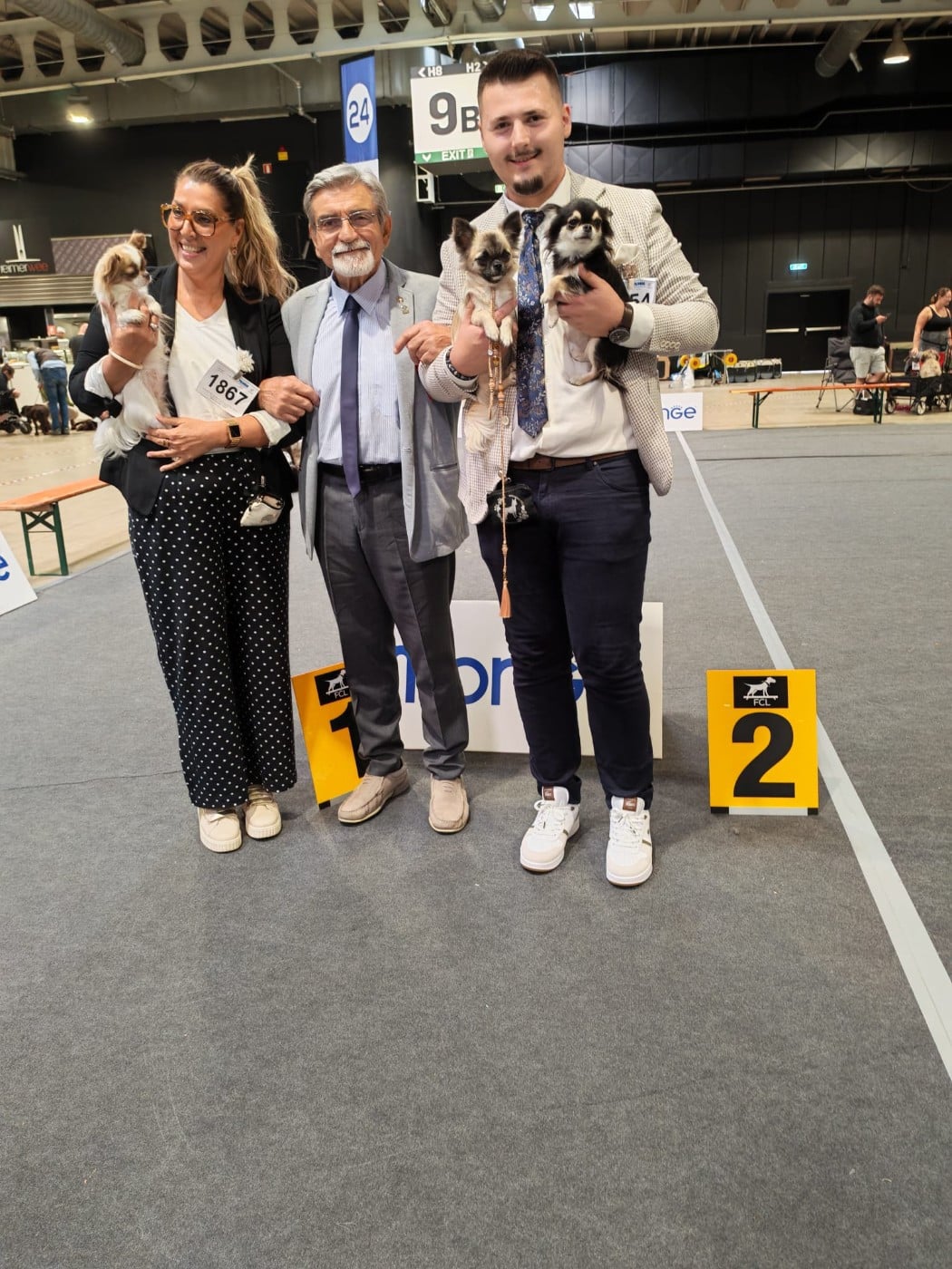 CH. A Flower Bomb Des Petits Saints Du Noble Lewis - 1 er EXCELLENT, CACL-J, CACIB-J, Meilleur jeune, qualifiée CRUFTS