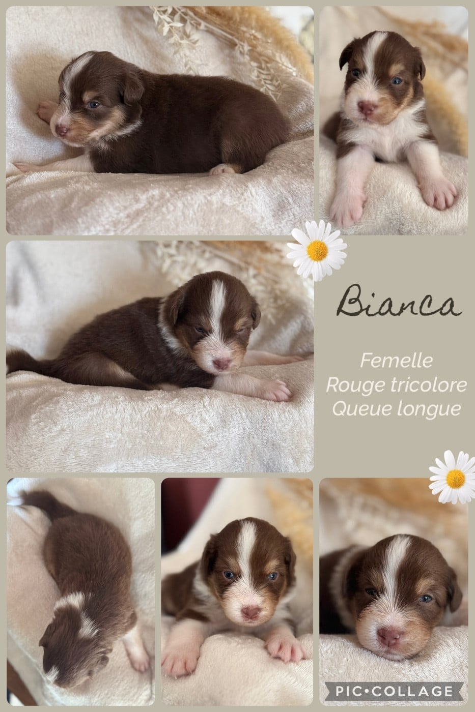 Bianca dit Seiky
