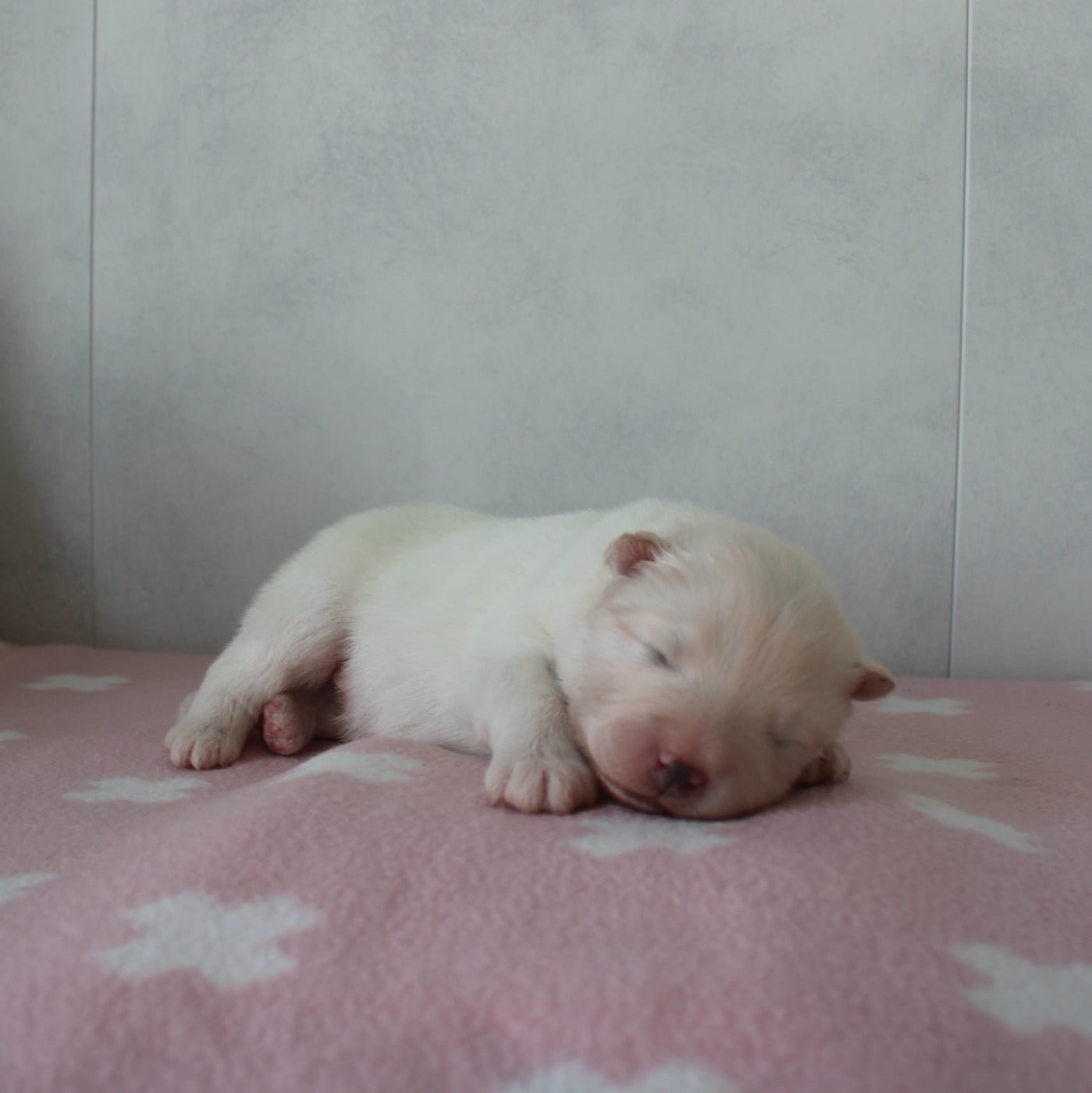 BORN TO BE TOGETHER