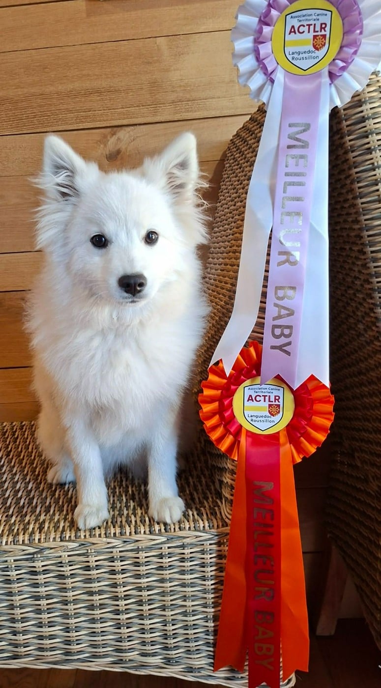 Another Star Is Born Yuki Of Fantasia Lover Land - 1ère Très Prometteur + Meilleur Baby