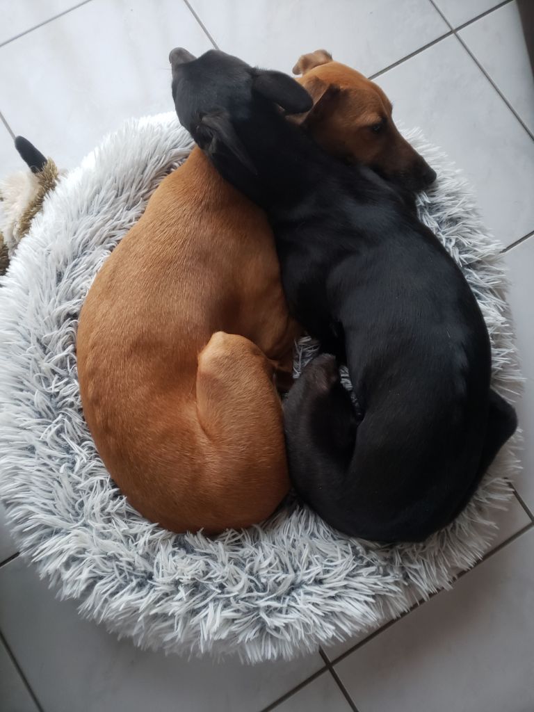 old road's Very irresistible