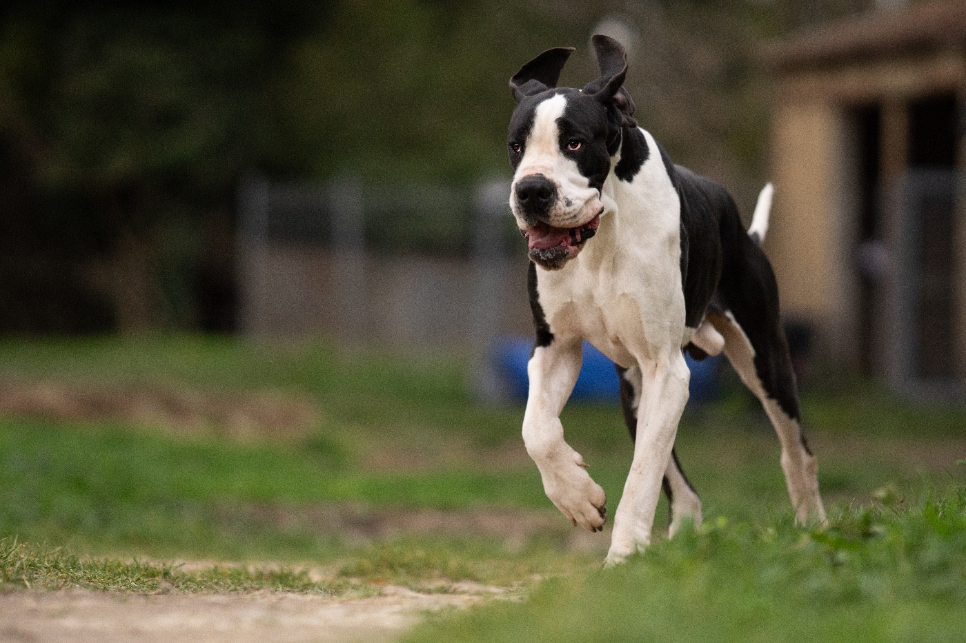 Ulk Des Terres Du Livradois