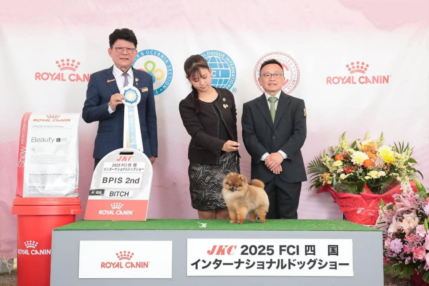 ac dynasty Jp show scene