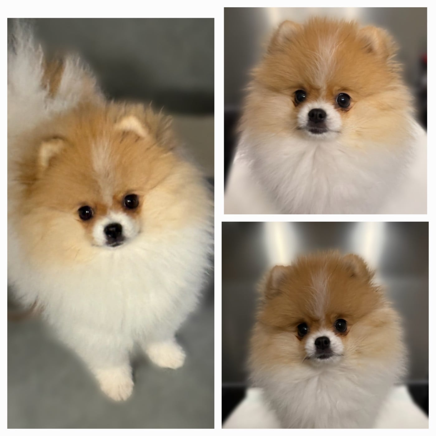 Abyss Keeps Calling du Diadème des Étoiles