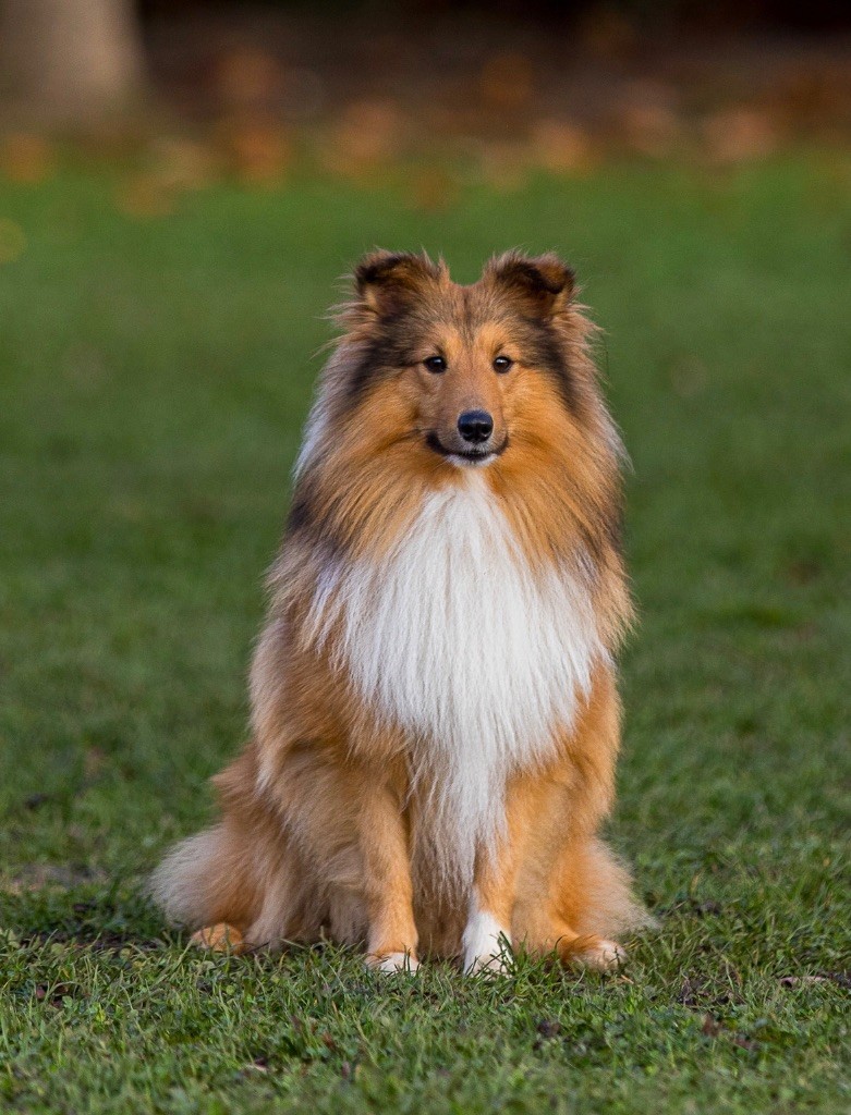 Publication : Eric & Sonia David-Nillet