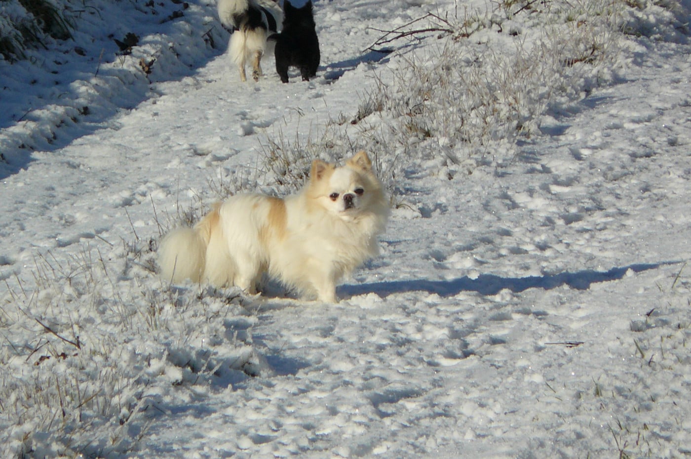 Publication : (Sans Affixe)