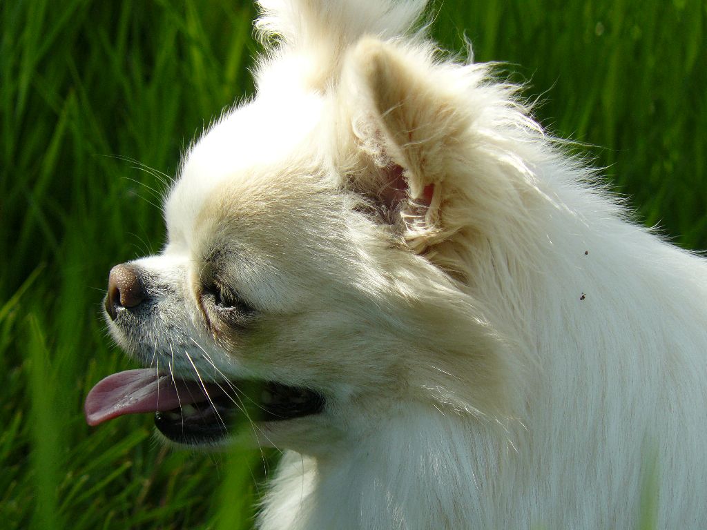 Publication : (Sans Affixe)