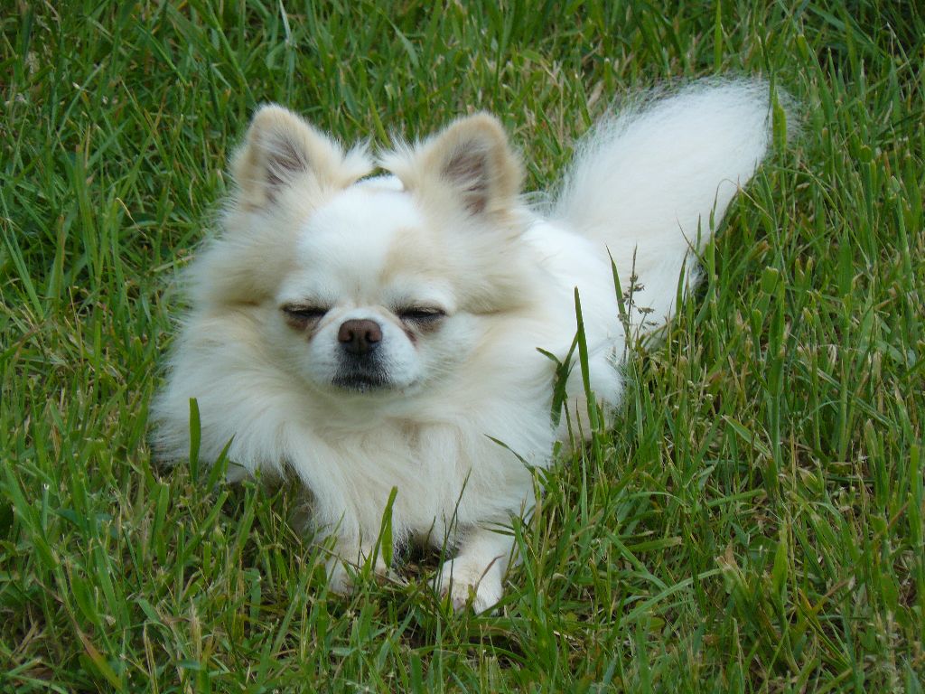 Publication : (Sans Affixe)