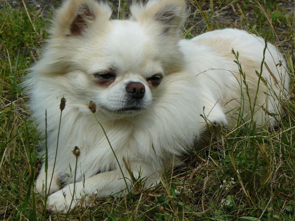 Publication : (Sans Affixe)