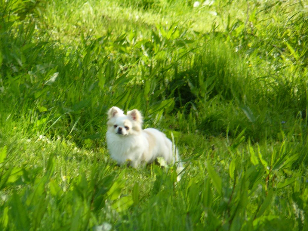 Publication : (Sans Affixe)