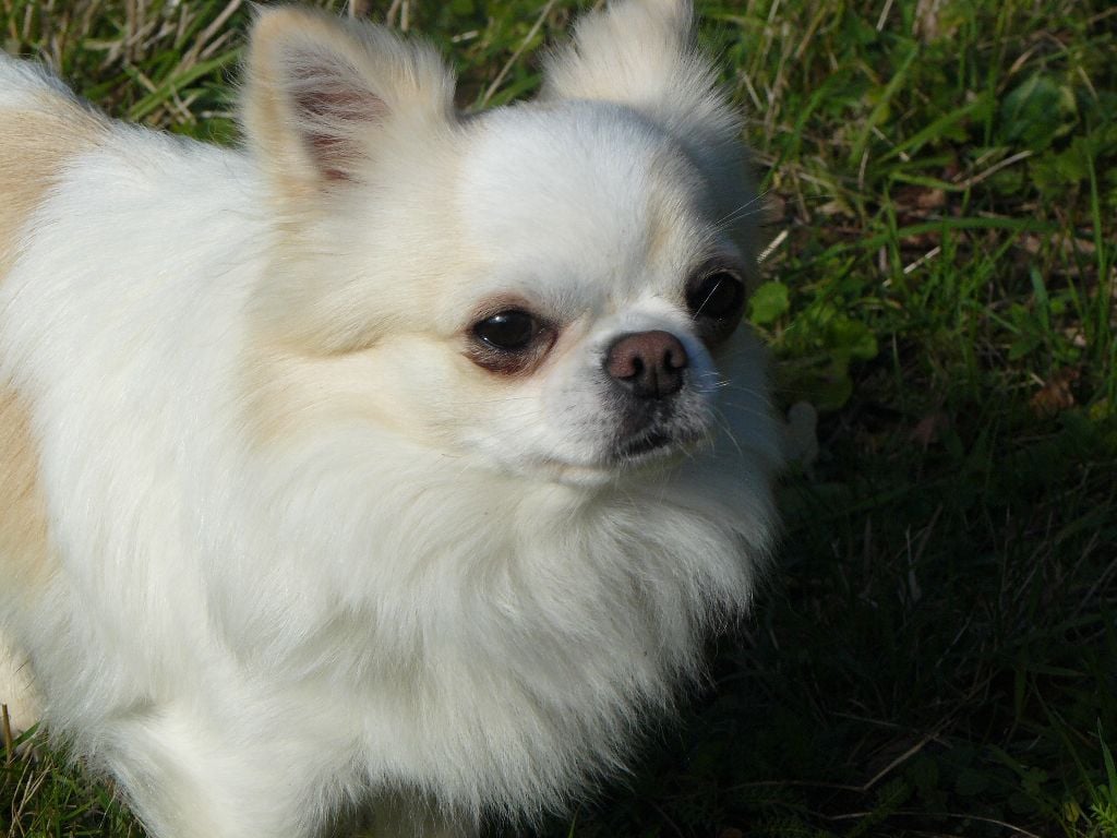 Publication : (Sans Affixe)