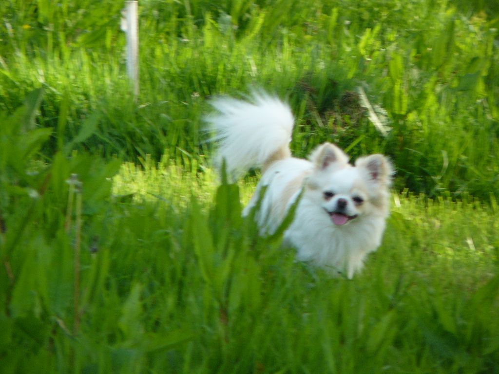 Publication : (Sans Affixe)