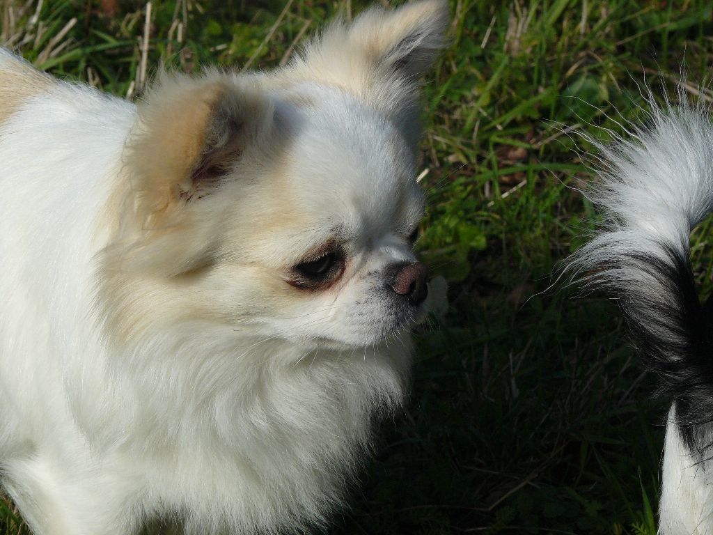 Publication : (Sans Affixe)