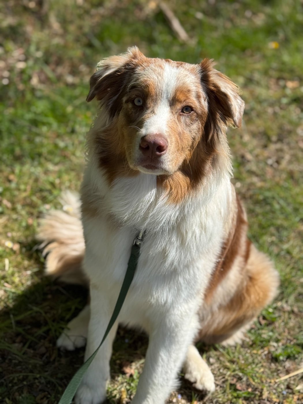 Vasco La Légende D’Onikatan