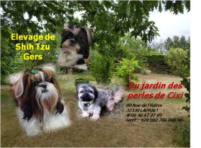 Du Jardin Des Perles De Cixi