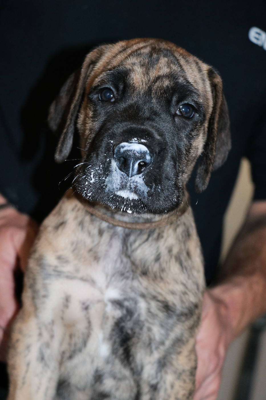 Adagio - collier marron