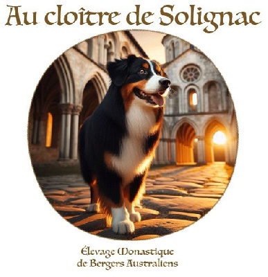 Au Cloître De Solignac
