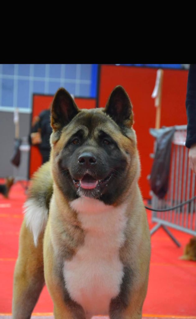 Krav addict undisputed godess Galadriel's Angels